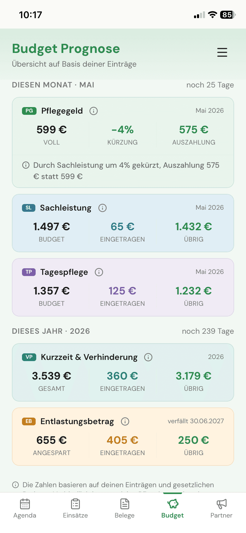 Budget übersicht